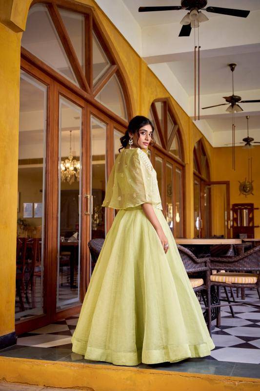 NNK 1119 TEA Crush Wholesale Lehenga Choli suppliers in Mumbai